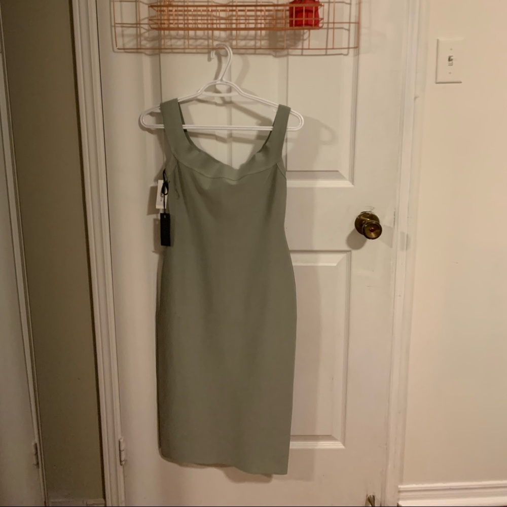 Never Worn - Bodycon Dress - Babaton